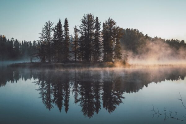 Photo Self-reflection
