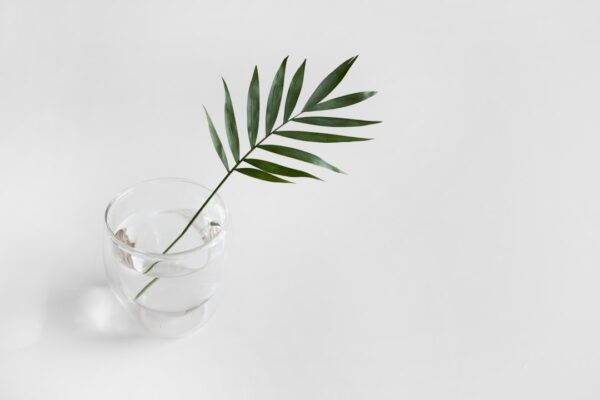 Photo Minimalist workspace