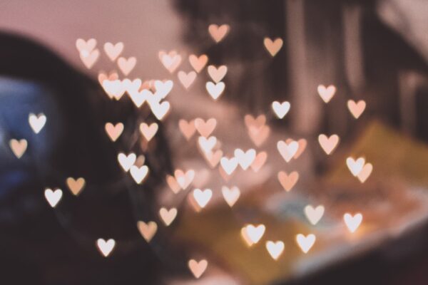 Photo Love Languages Book