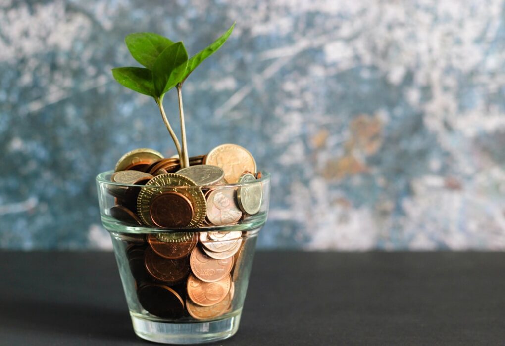 Photo Money tree