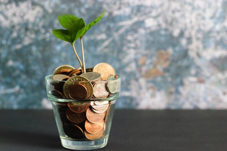Photo Money tree