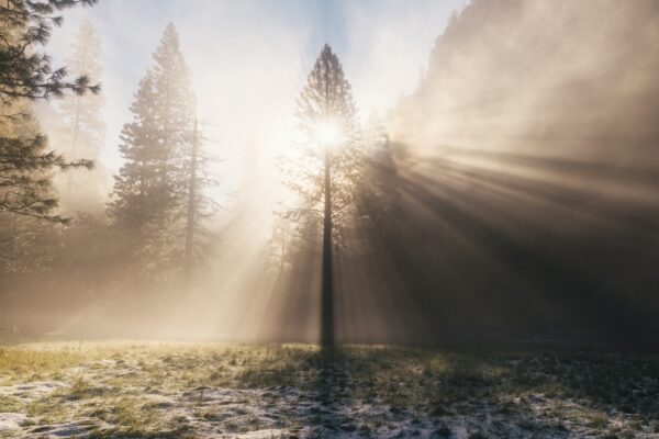 Photo Ray Dalio