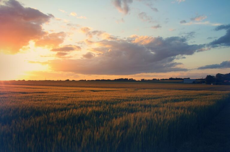 Photo French countryside