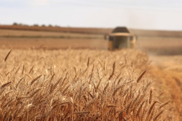 Photo Efficient farming