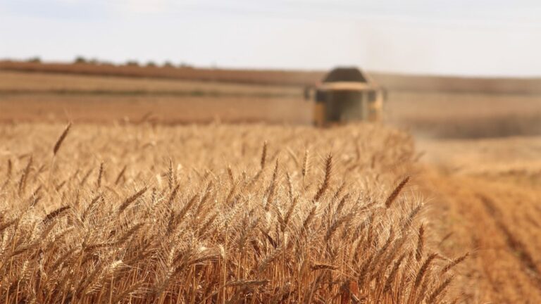 Photo Efficient farming