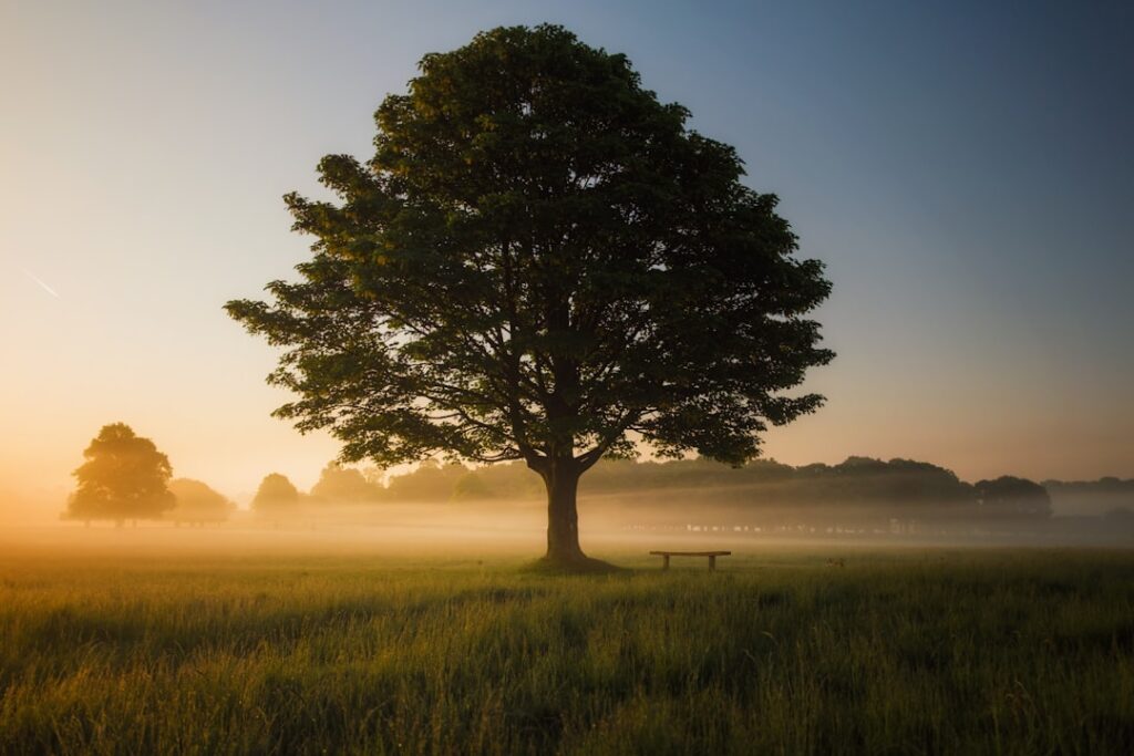Photo Mindful walking
