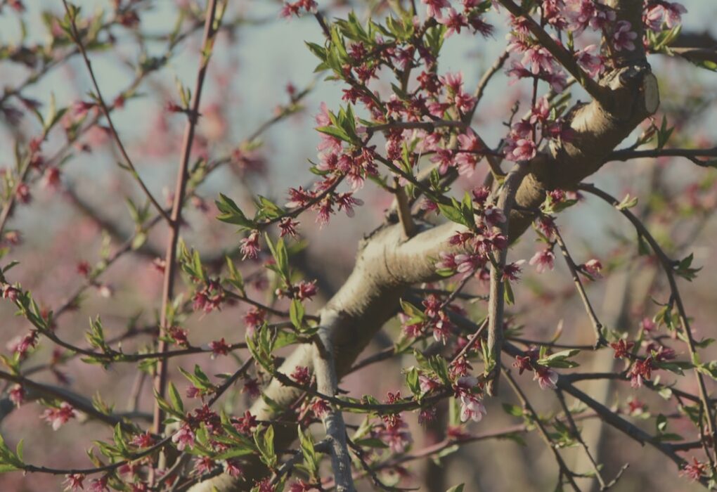 Photo Media manipulation