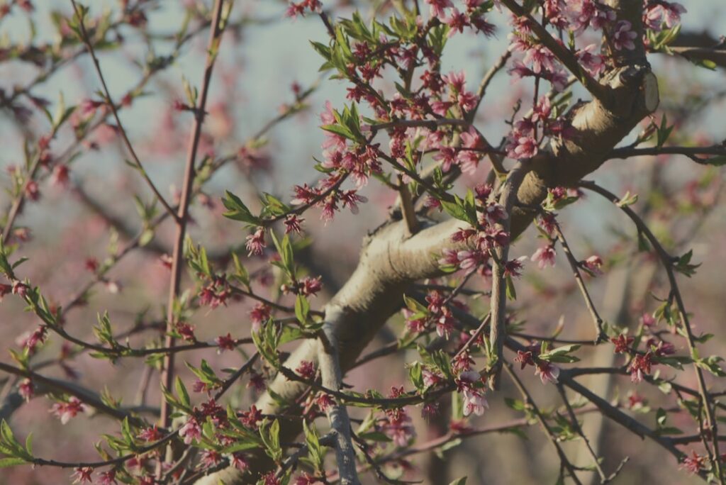 Photo Media manipulation