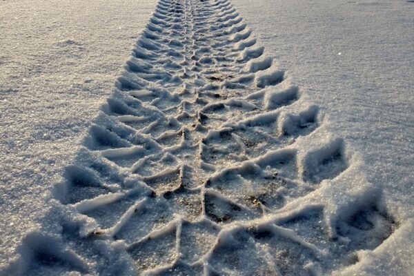 Photo "Traction by Gino Wickman"