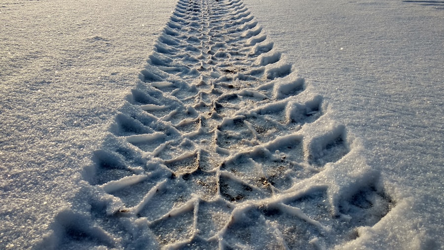 Photo "Traction by Gino Wickman"