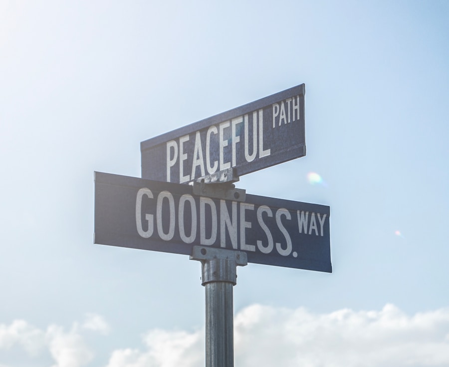 Photo Set Boundaries, Find Peace by Nedra Glover Tawwab