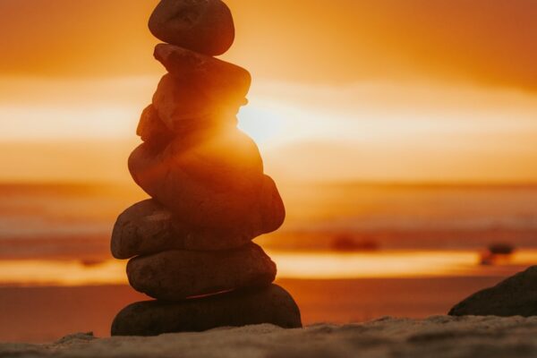 Photo The Science of Meditation by Daniel Goleman and Richard Davidson