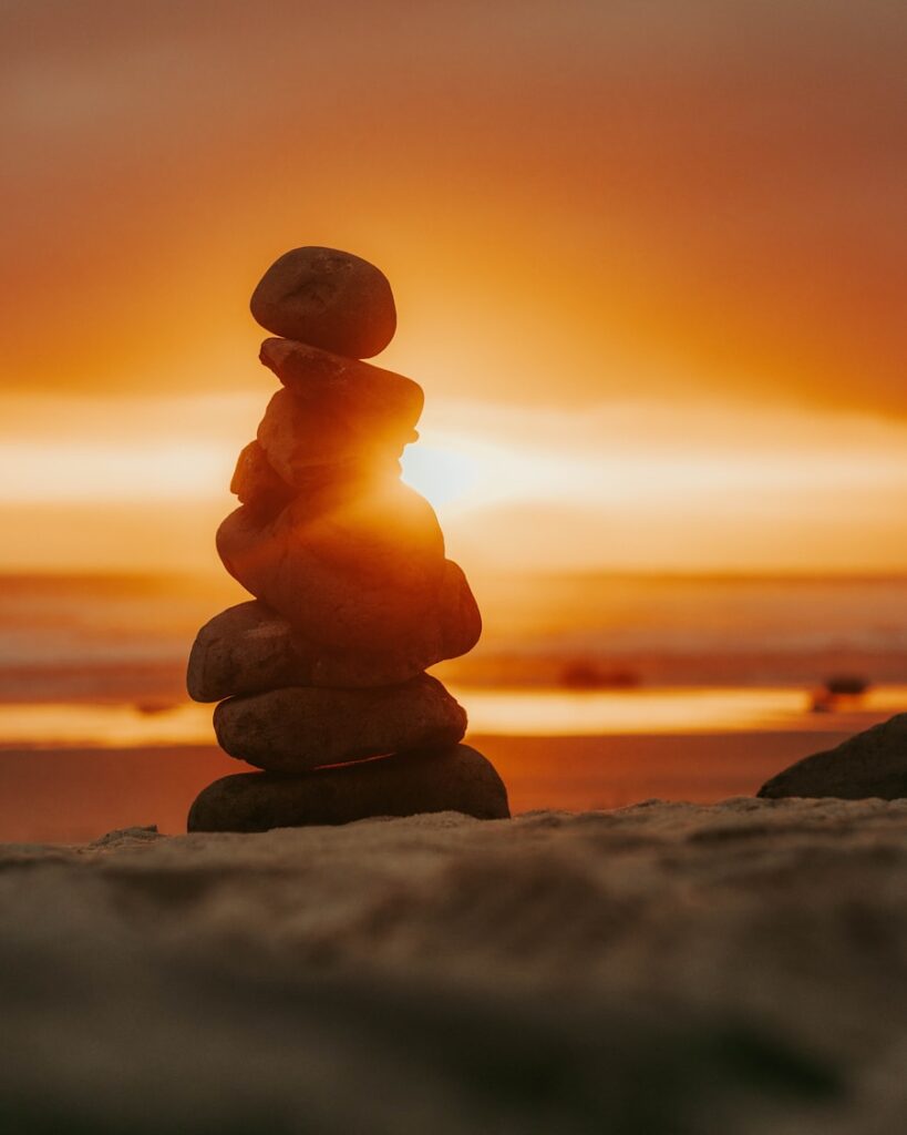 Photo The Science of Meditation by Daniel Goleman and Richard Davidson