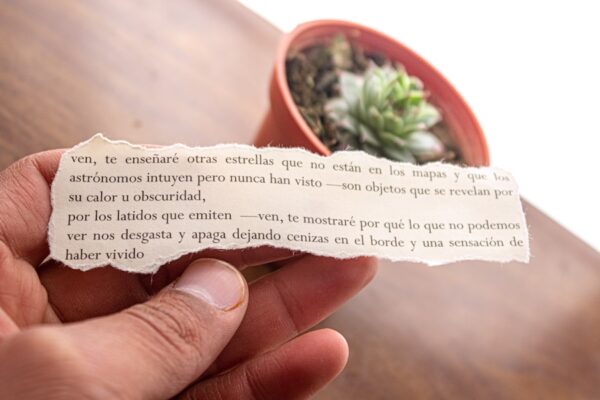 Photo "Ikigai by Héctor García and Francesc Miralles"