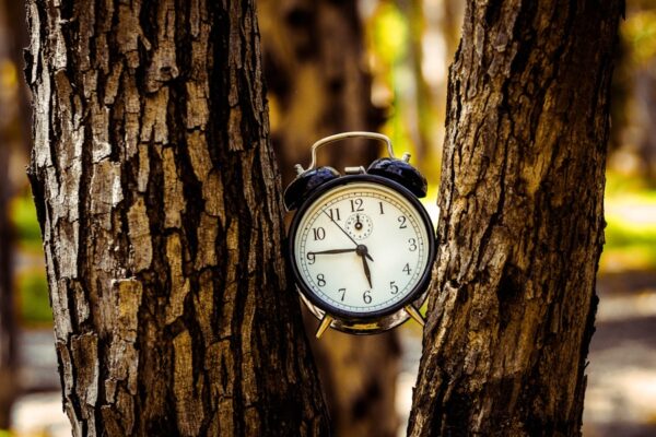 Photo The Art of Stopping Time by Pedram Shojai