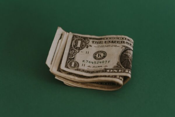 Photo "Money for the Rest of Us by J David Stein"