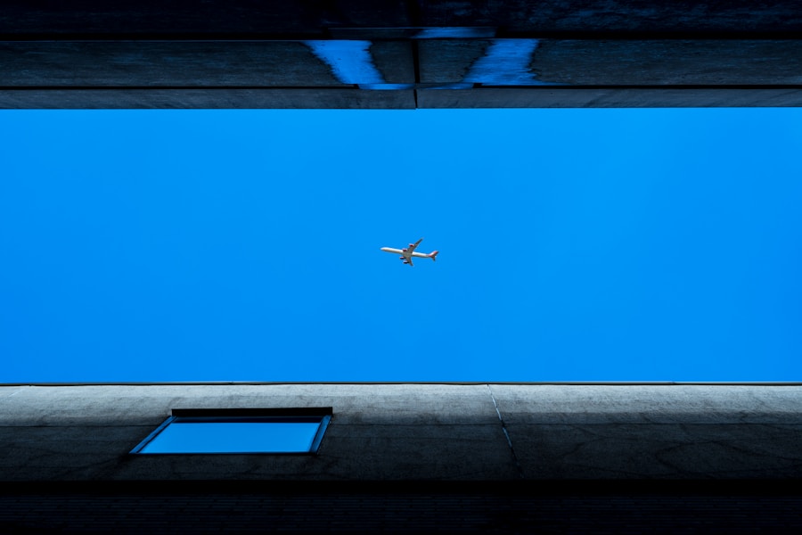Photo "Flying Blind by Peter Robison"