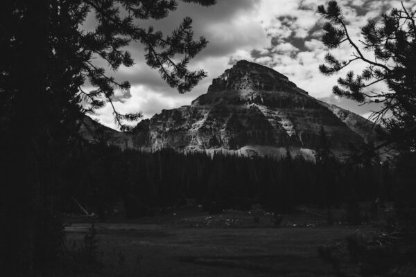 Photo The Mountain Is You by Brianna Wiest