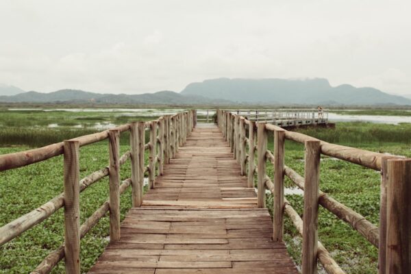 Photo The Obstacle Is the Way by Ryan Holiday
