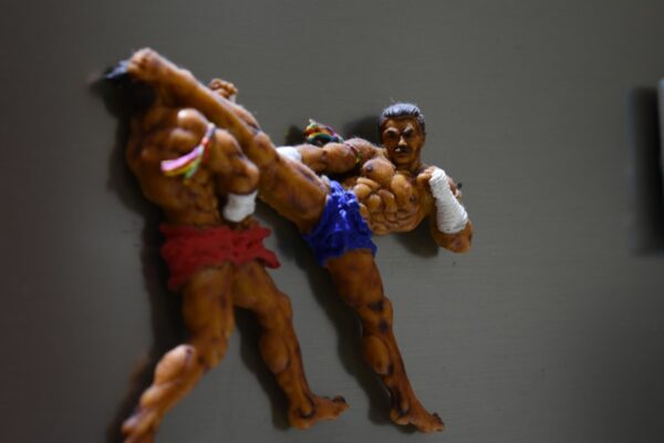 Photo "Power vs Force by David R Hawkins"