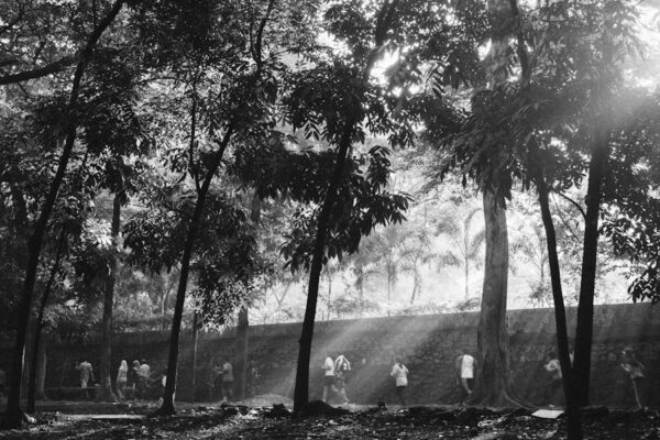 Photo The Lost City of Z by David Grann