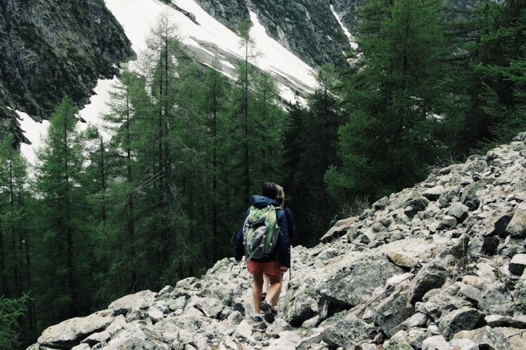 Photo Wild: From Lost to Found on the Pacific Crest Trail by Cheryl Strayed