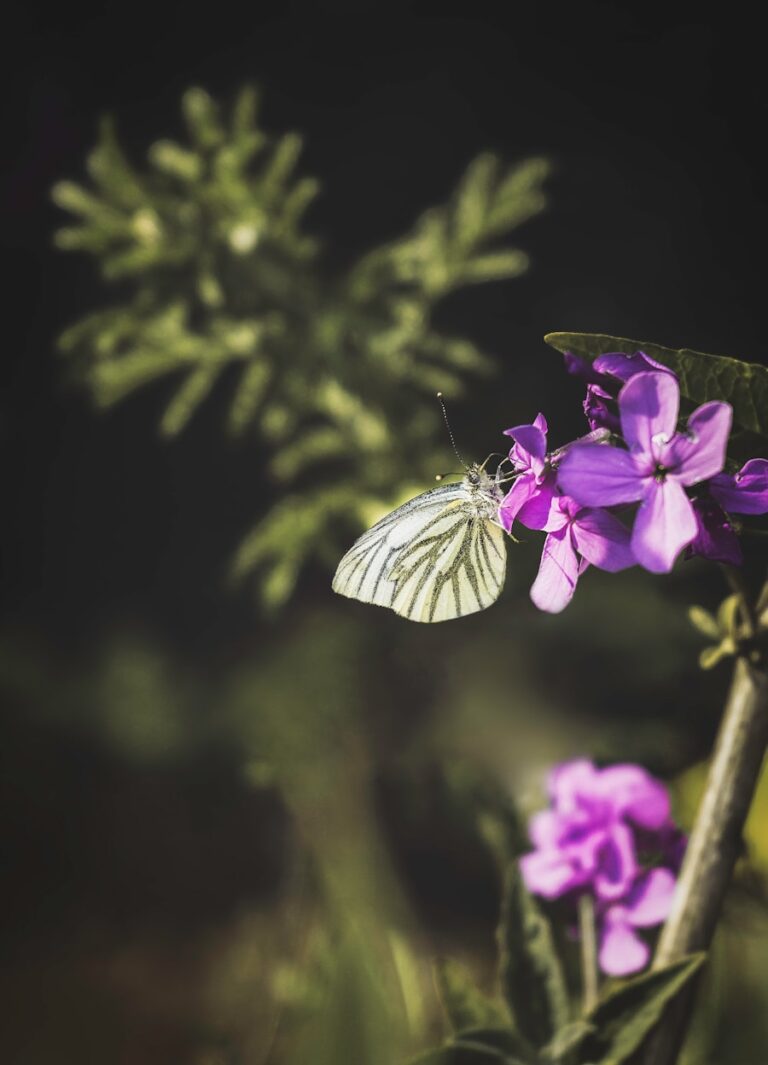 Photo The Fibromyalgia Handbook by Kevin R McCormick