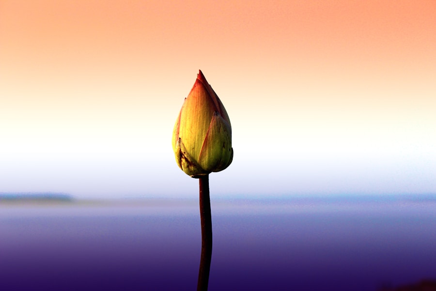 Photo The Power of Intention by Wayne Dyer