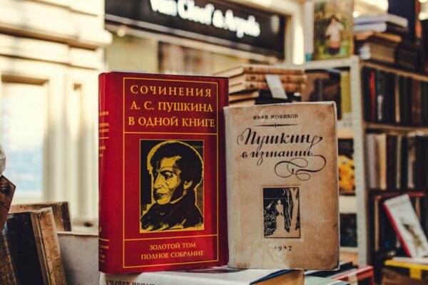 Photo "Democracy in America by Alexis de Tocqueville"