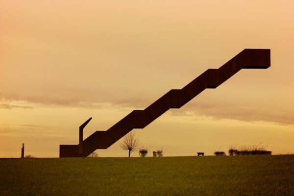 Photo The Long Tail: Why the Future of Business is Selling Less of More by Chris Anderson