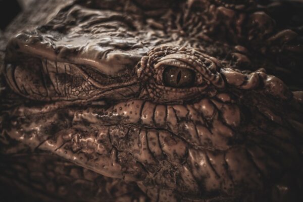Photo The Leviathan by Thomas Hobbes