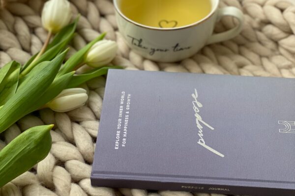 Photo The Healing Power of Illness by David A Kessler