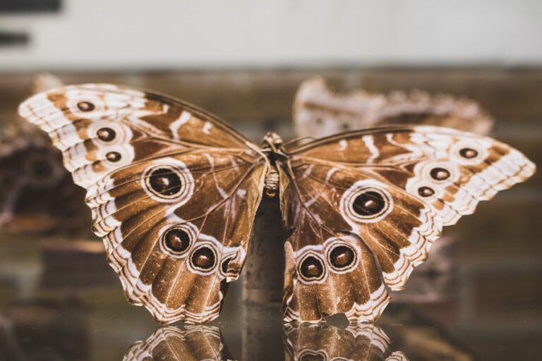 Photo Z Metamorphosis: The Future of Marketing by Scott Klososky