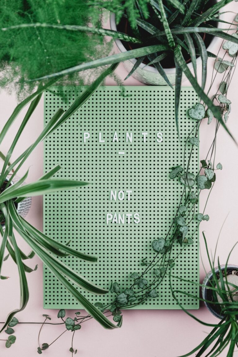 Photo "Public Policy: An Introduction to the Theory and Practice of Policy Analysis by Wayne Parsons"