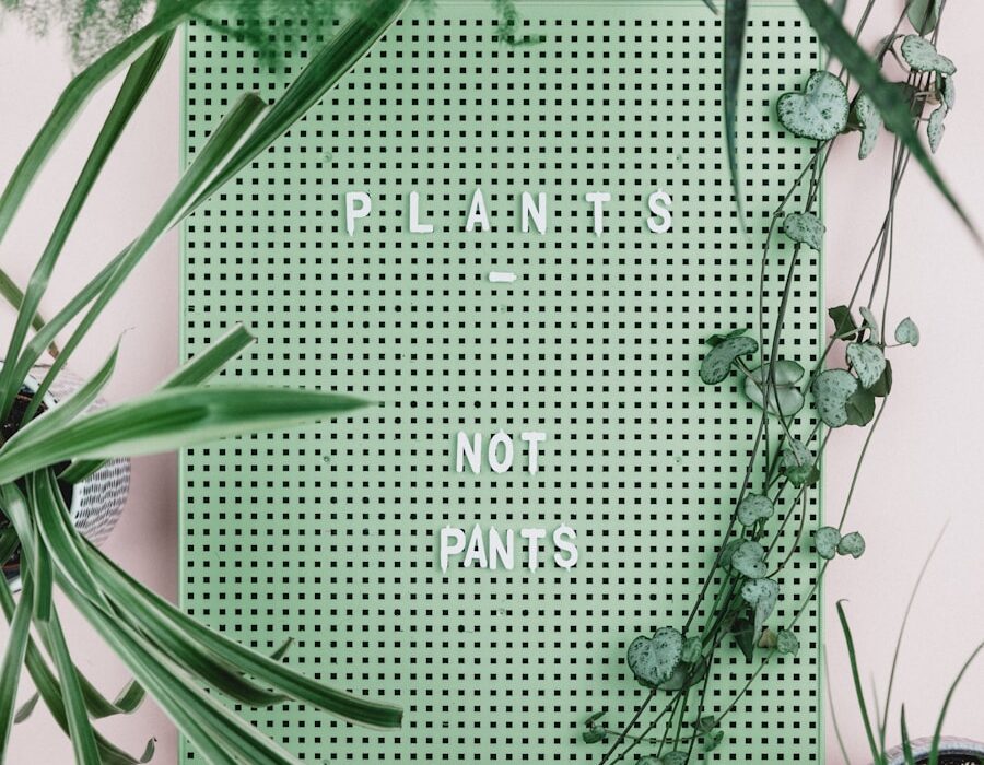 Photo "Public Policy: An Introduction to the Theory and Practice of Policy Analysis by Wayne Parsons"