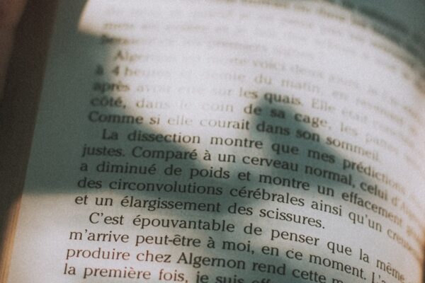 Photo The Alchemist by Paulo Coelho