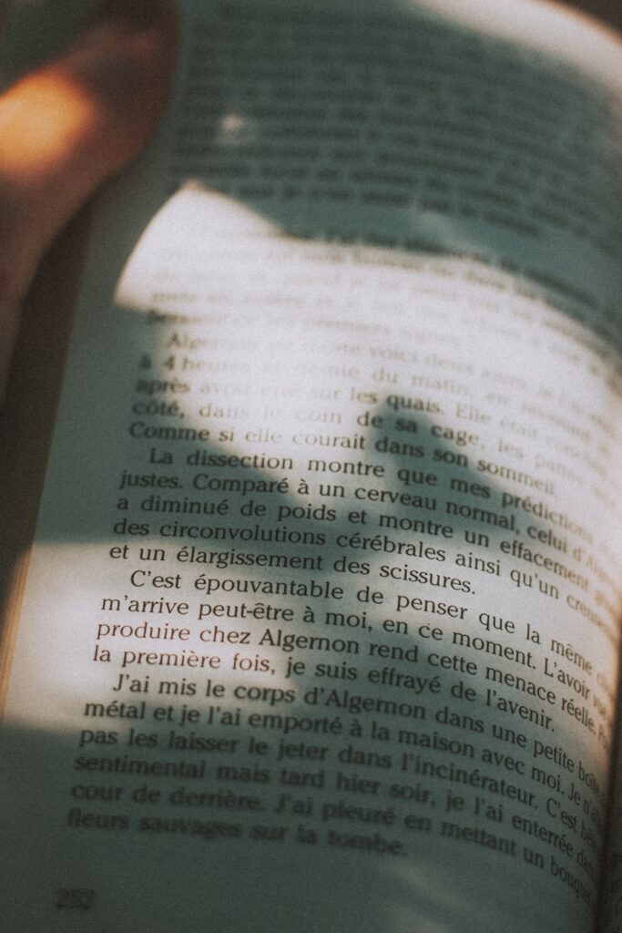 Photo The Alchemist by Paulo Coelho