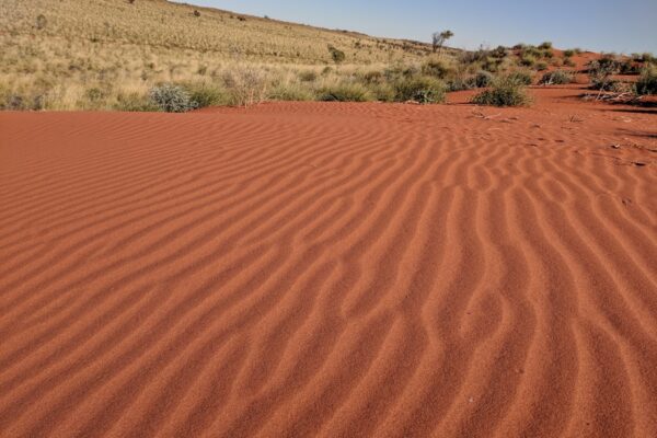 Photo "Tracks by Robyn Davidson"