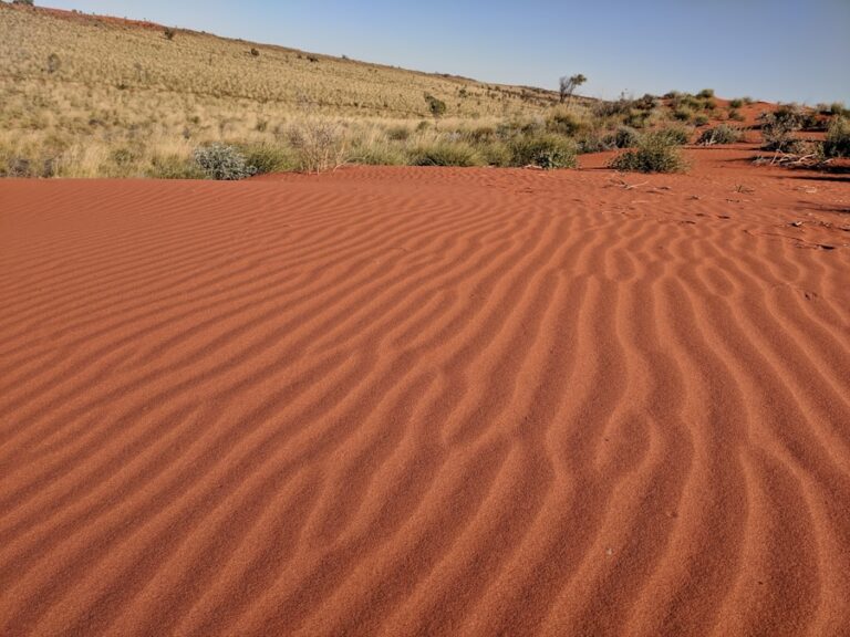 Photo "Tracks by Robyn Davidson"