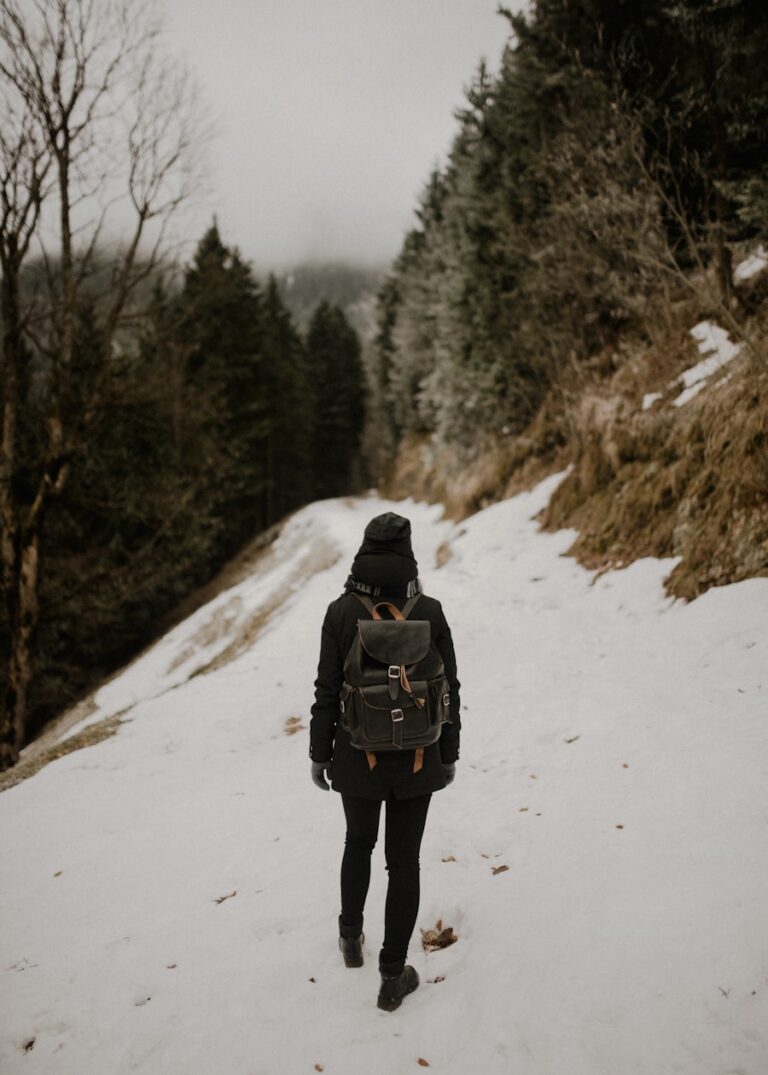 Photo "Braving the Wilderness by Brené Brown"