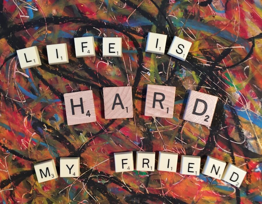 Photo The Complete Idiots Guide to Living with Chronic Pain by Jennifer H Harlow