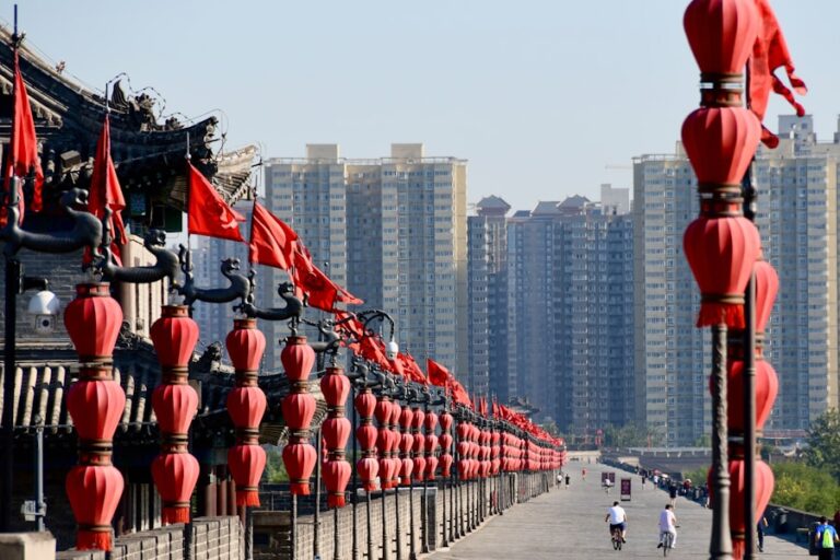 Photo The Long Game: Chinas Grand Strategy to Displace American Order by Rush Doshi