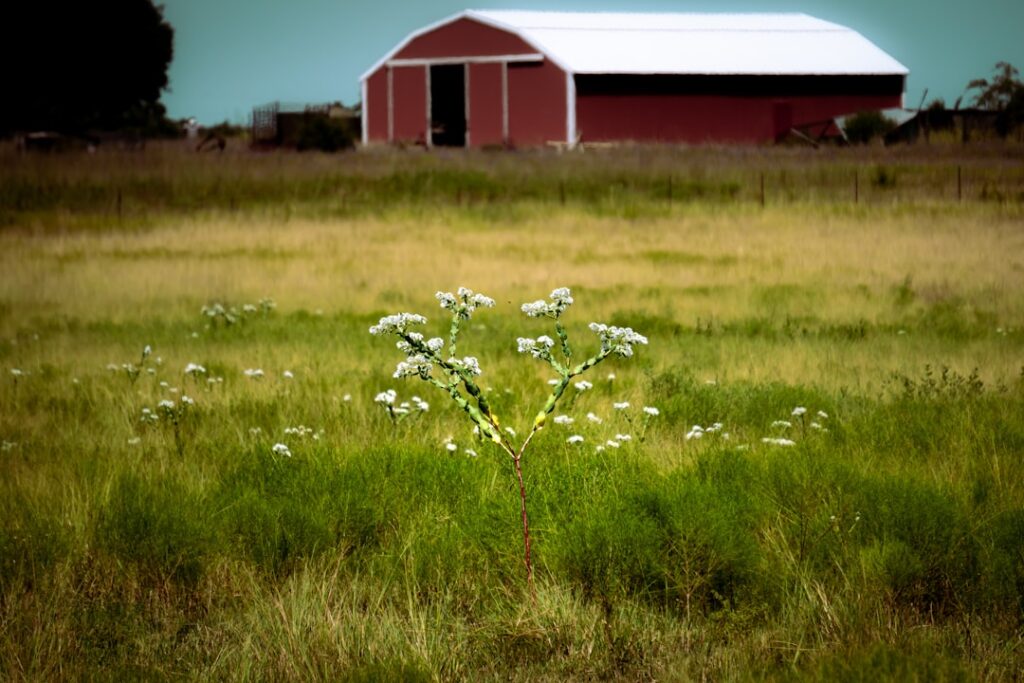Photo Southern landscape