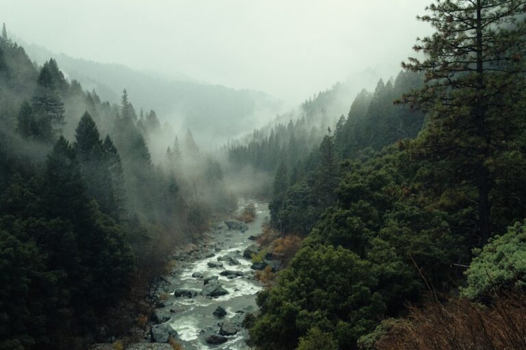 Photo Patagonian landscape