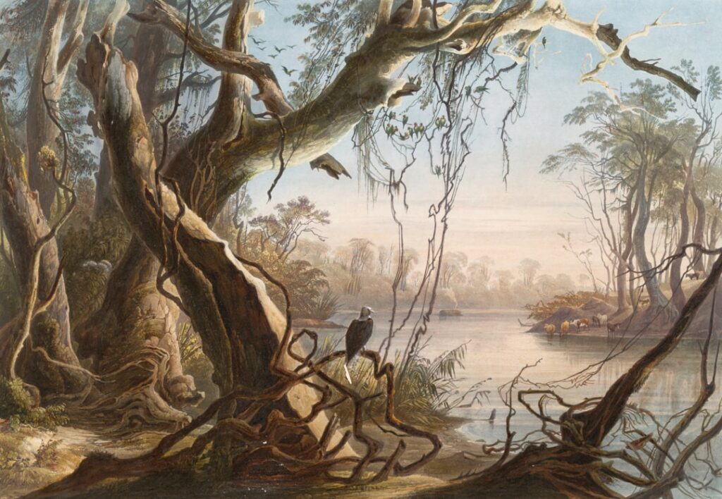 Photo Resistance illustration