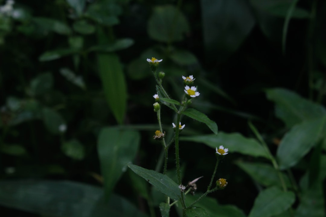 Advanced SQL: Logical Query Processing By Itzik Ben-Gan - Hell Read