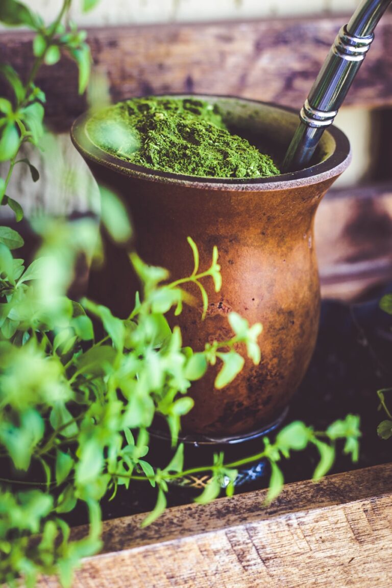 Photo The Healing Power of Herbs by Michael T Murray