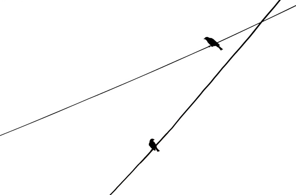 Photo Process flow diagram