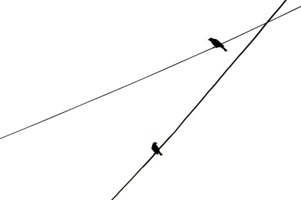 Photo Process flow diagram