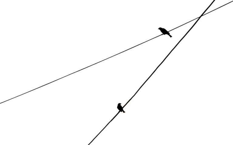 Photo Process flow diagram